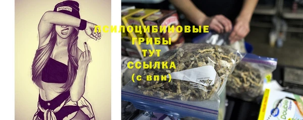 spice Алексин